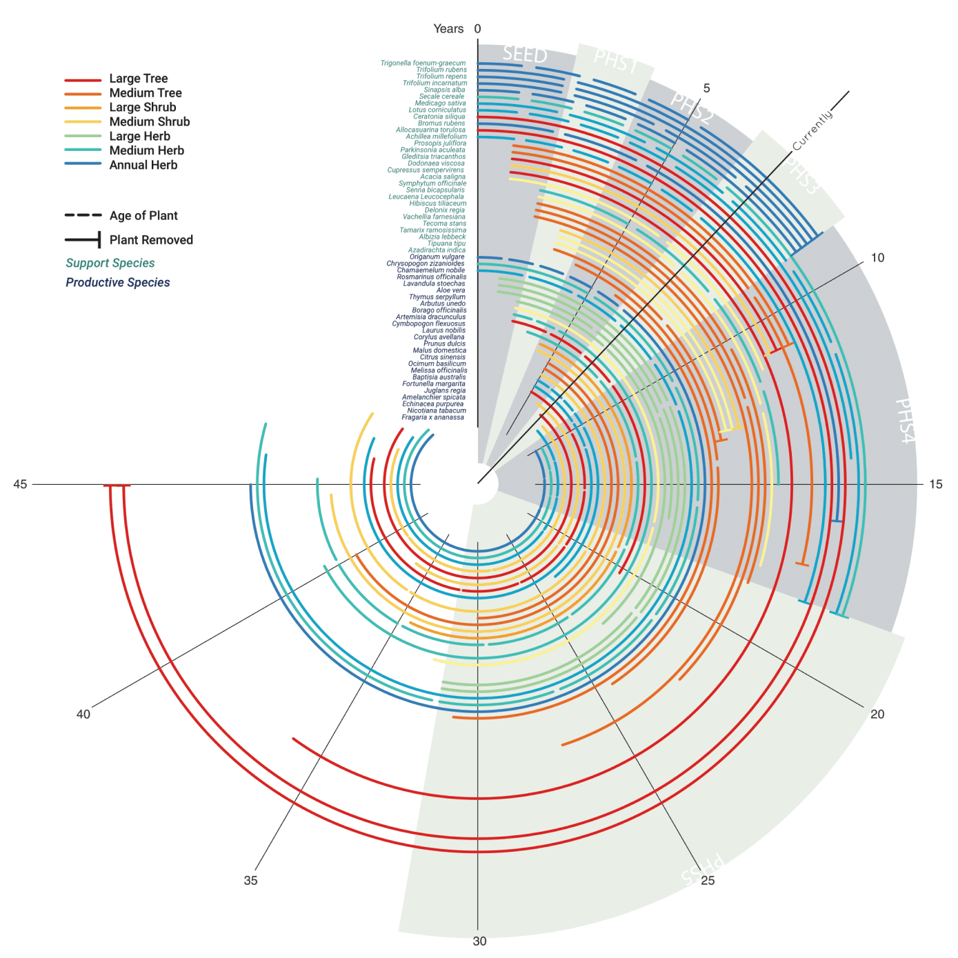 Radial bar chart of planting schedule